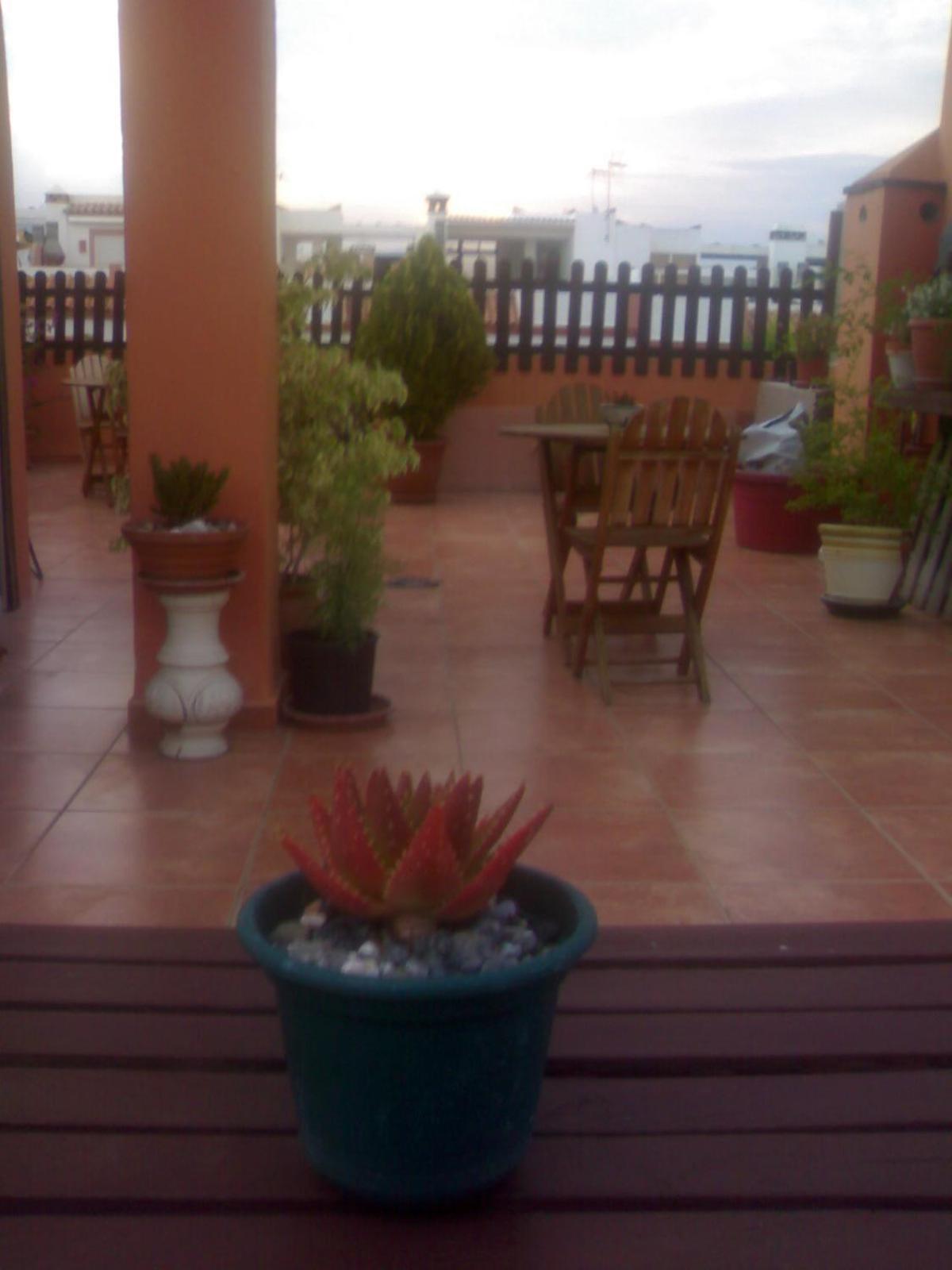Hospederia V Centenario Estepona Exterior photo